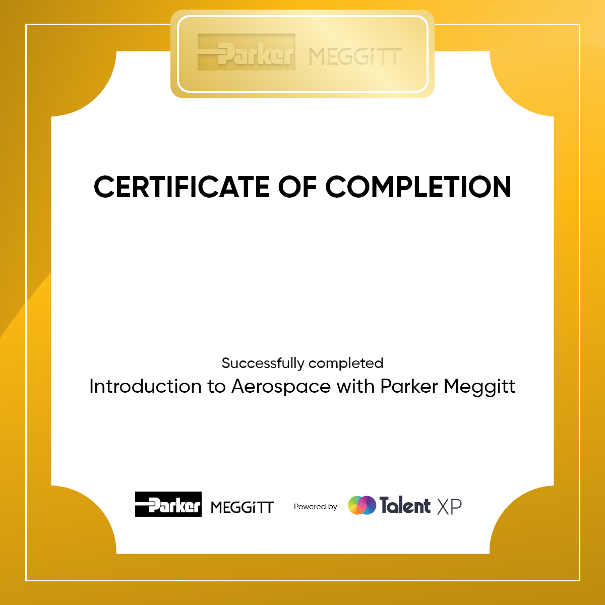 Certificate for Certificate of completion - An Introduction to Aerospace with Parker Meggitt
